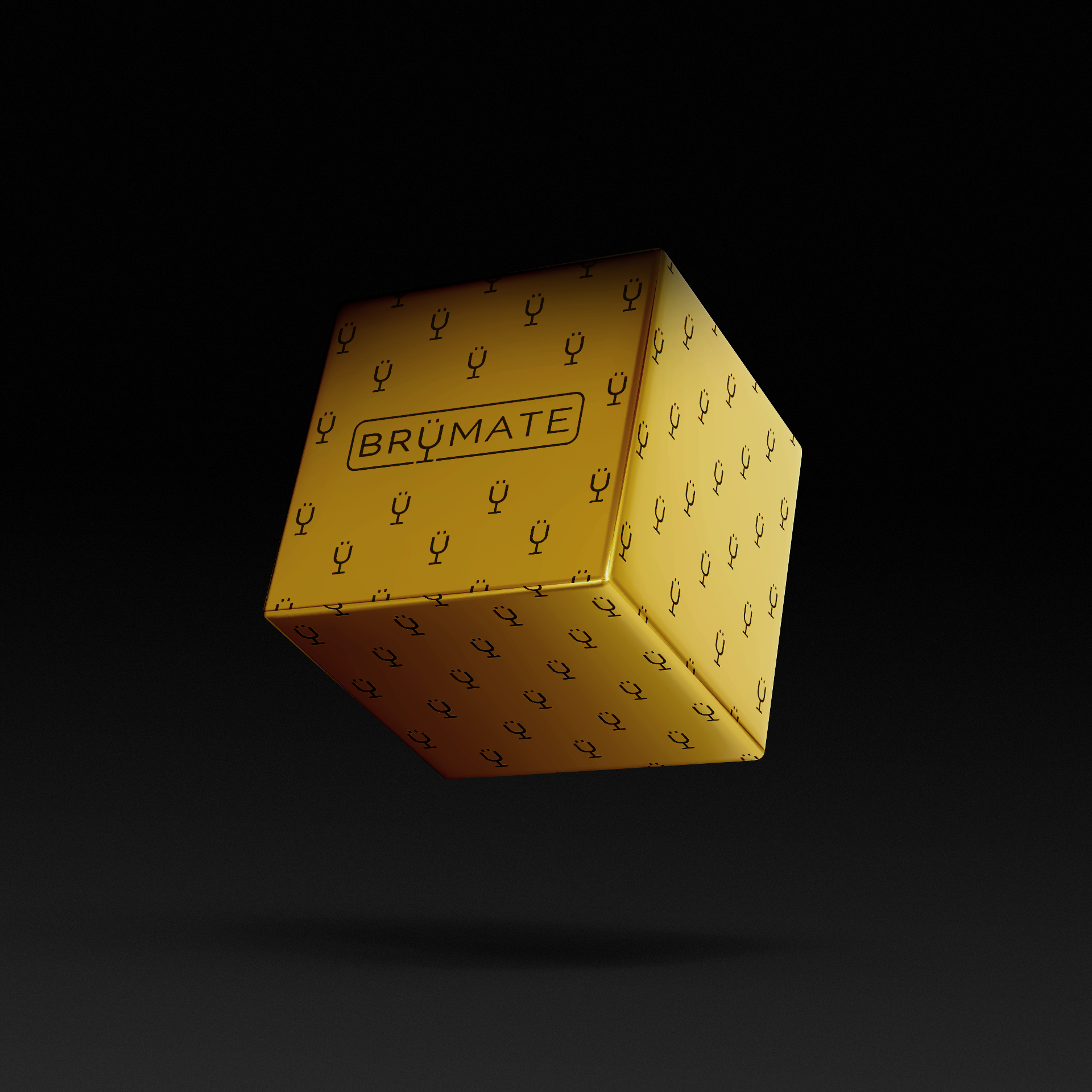 premium-mystery-item-39-70-value-s4 IMG-1548.png